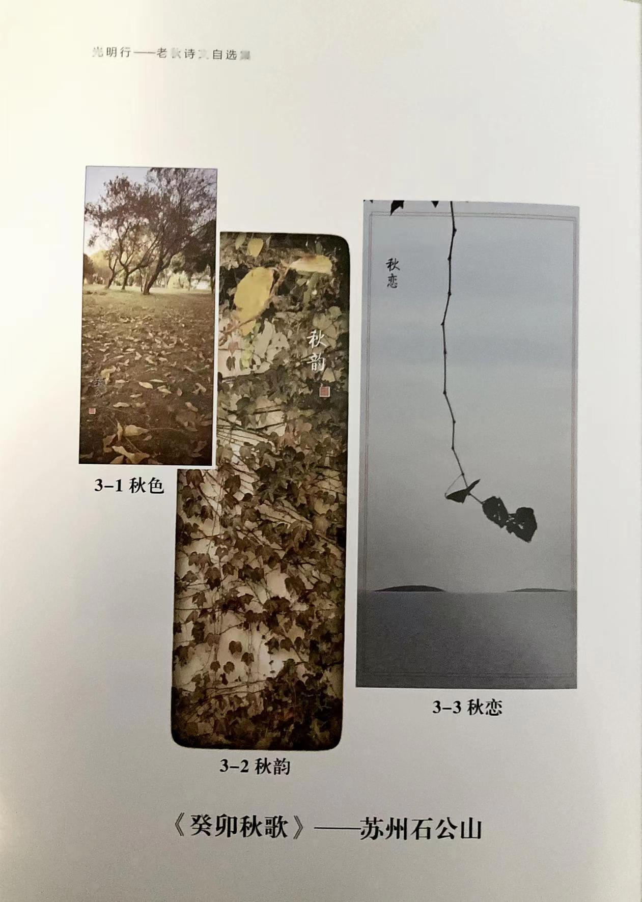 光明三梦——《光明行》老秋诗文自选集自序(图4)