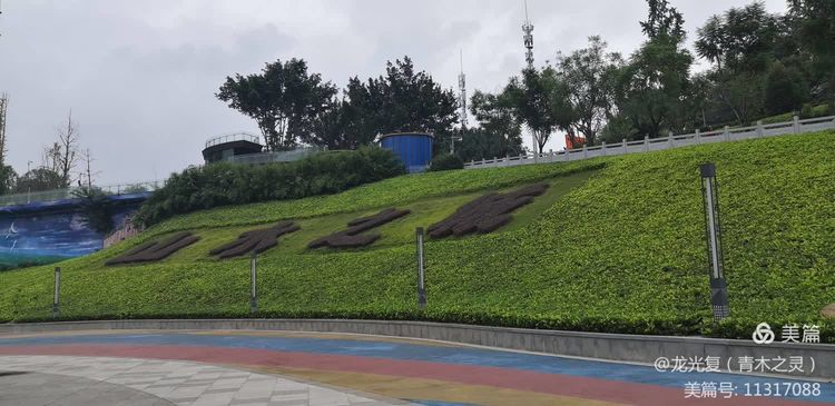 《重庆大鱼海棠公园采风录》(图1)