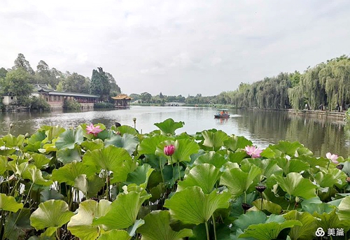 昆明大观楼公园风韵(图1)