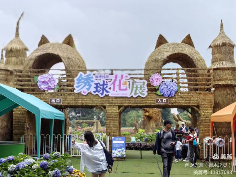 昆明，海埂花语(图1)