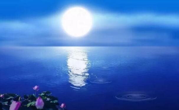 月光下的思念(图1)