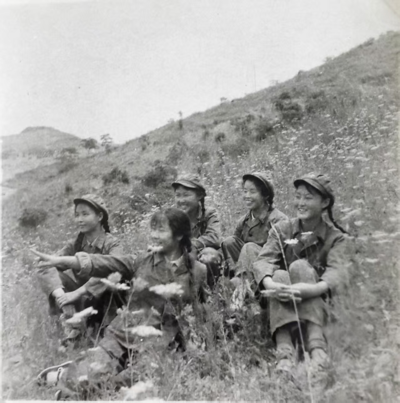 药香里的青春(图1)