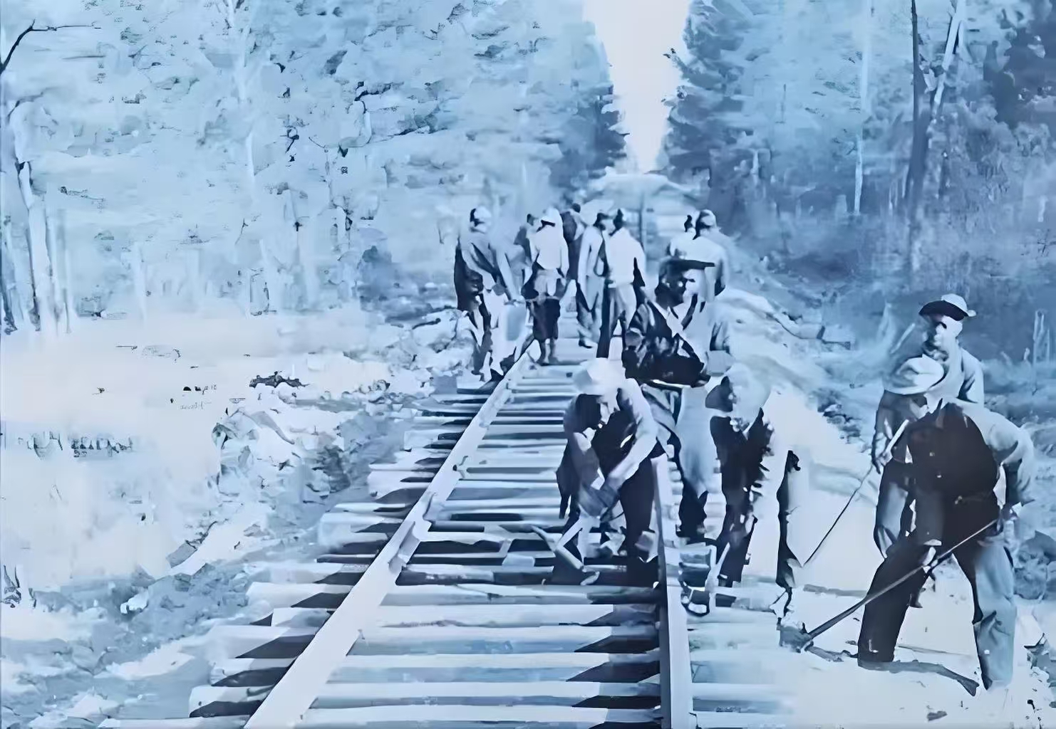 父亲的足迹(图3)