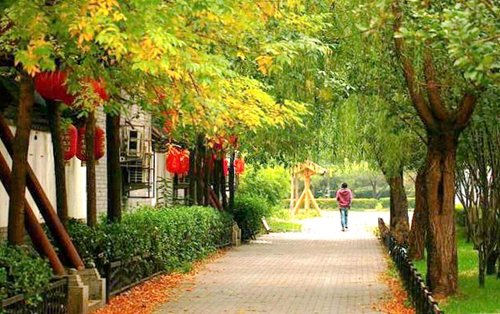 等一场冷雨醒来（现代诗）(图1)