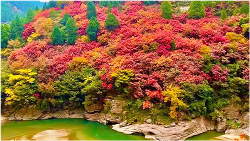 咱家就在秦岭下(图4)
