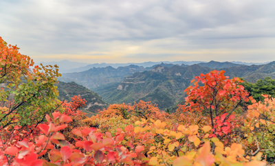 山中听风（三首）(图1)