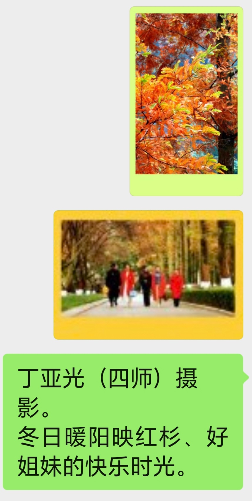 迎新春作品展播（一）(图5)