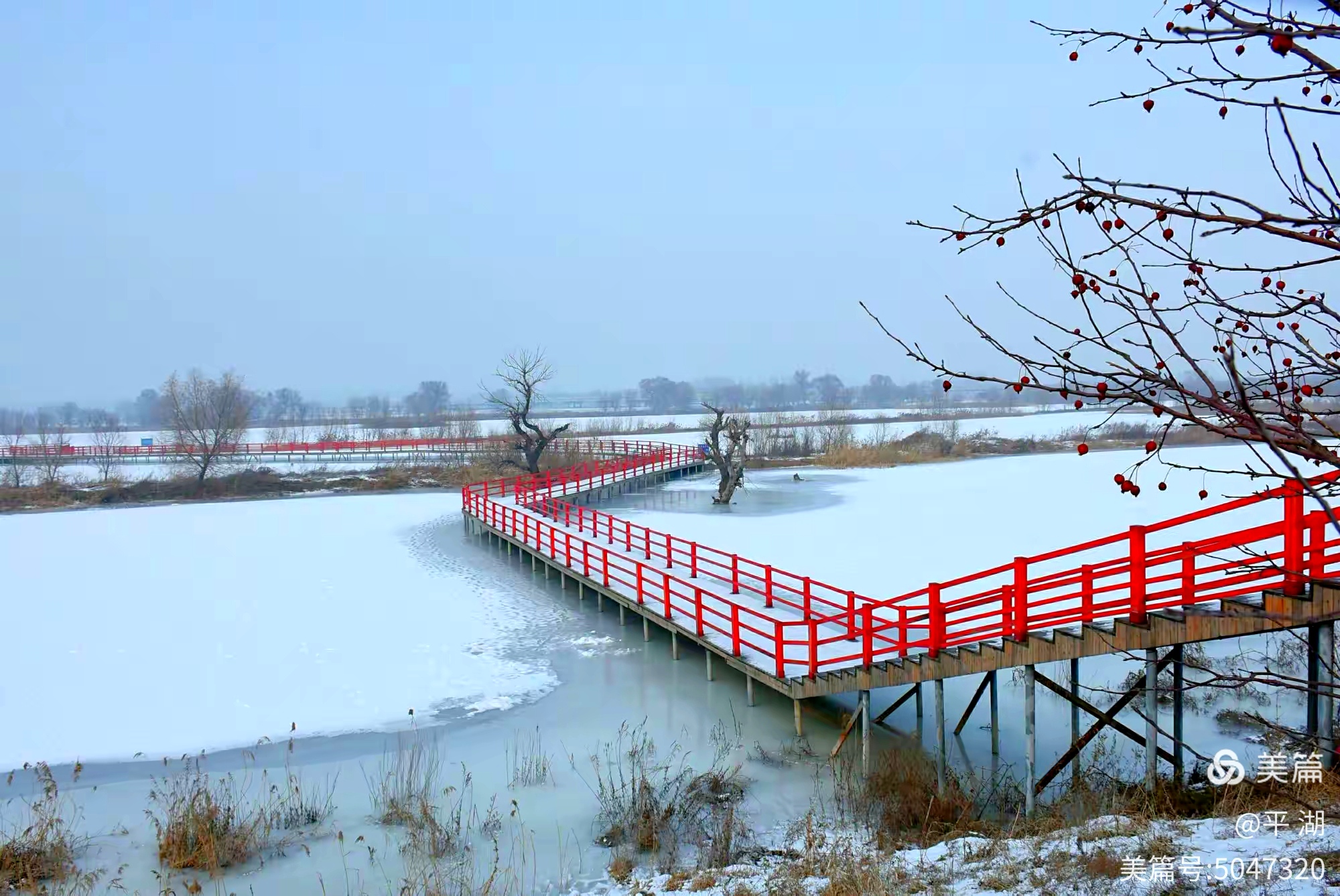 《 冬日的雪花 》(图1)