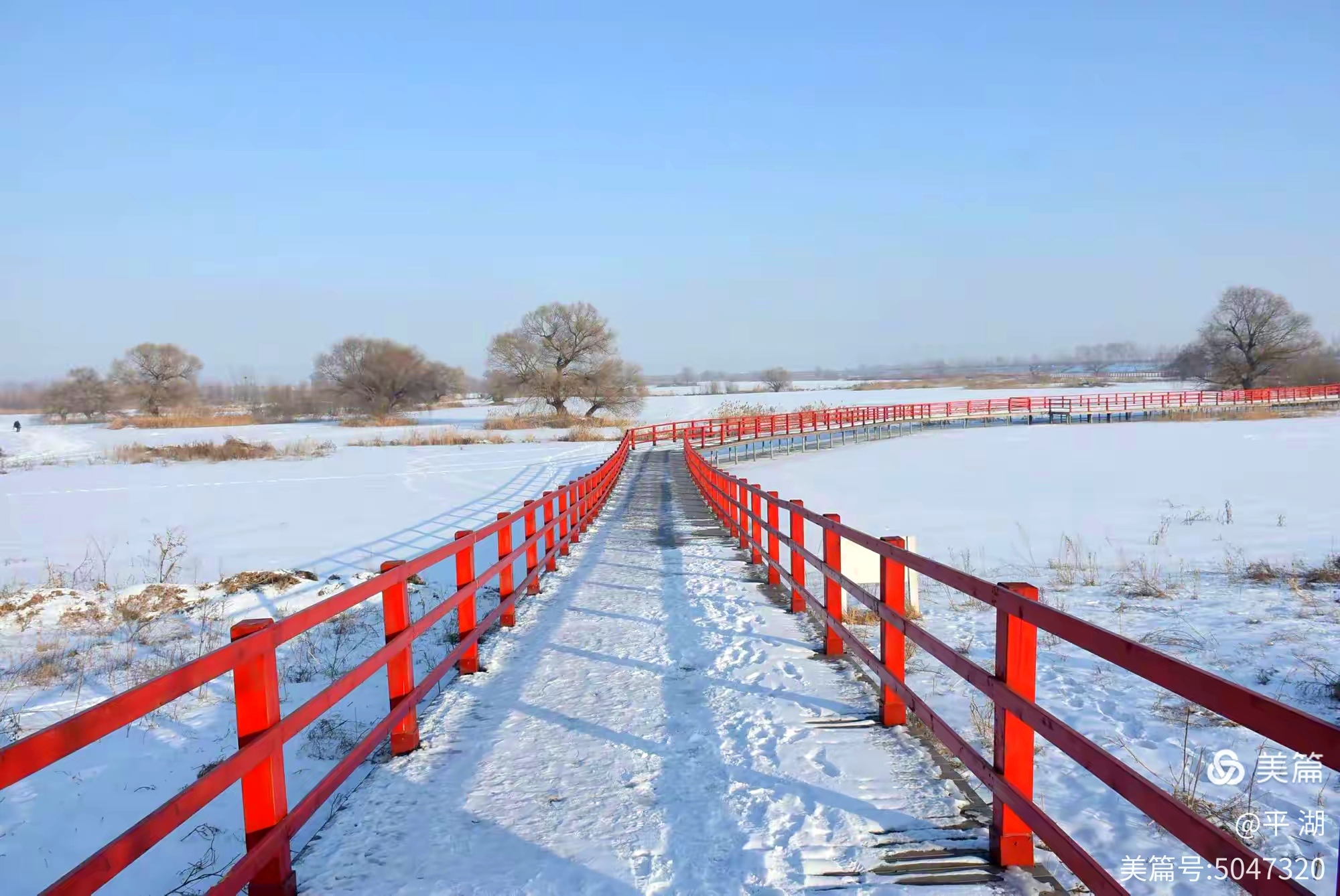 《 冬日的雪花 》(图2)