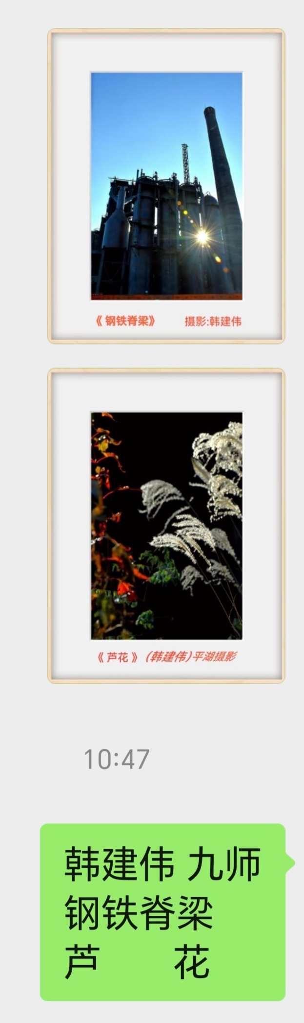 展览中的摄影作品(图3)