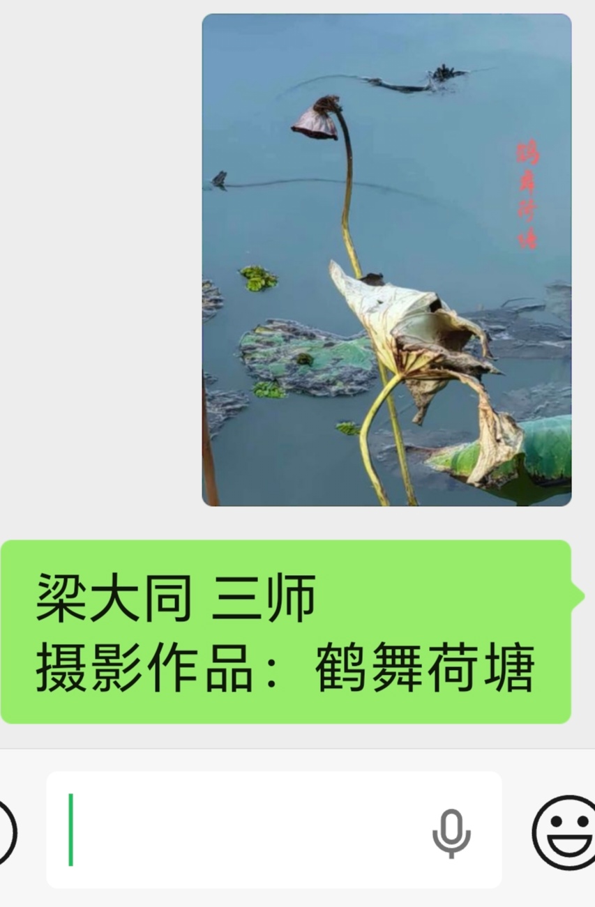 展览中的摄影作品(图1)
