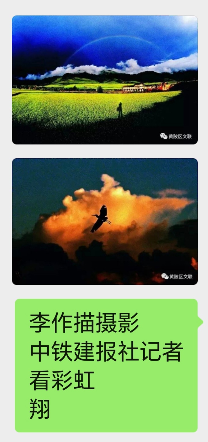 展览中的摄影作品(图7)