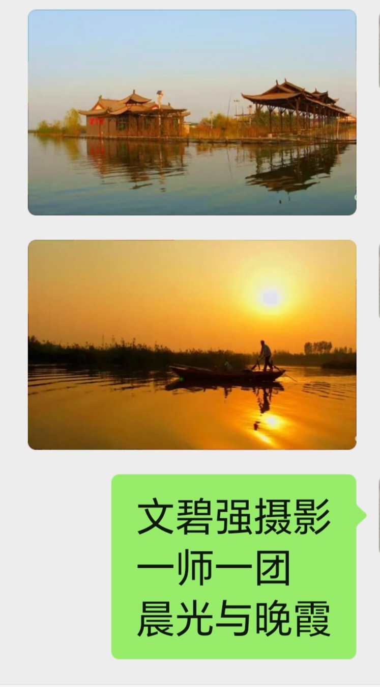 展览中的摄影作品(图8)