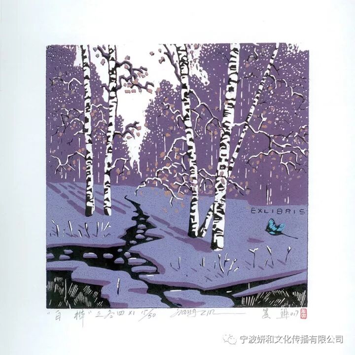 白桦林秋冬(图9)