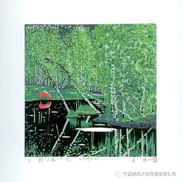 白桦林秋冬(图14)