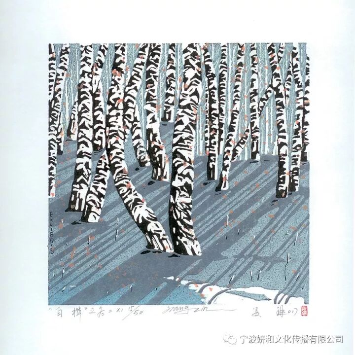 白桦林秋冬(图3)
