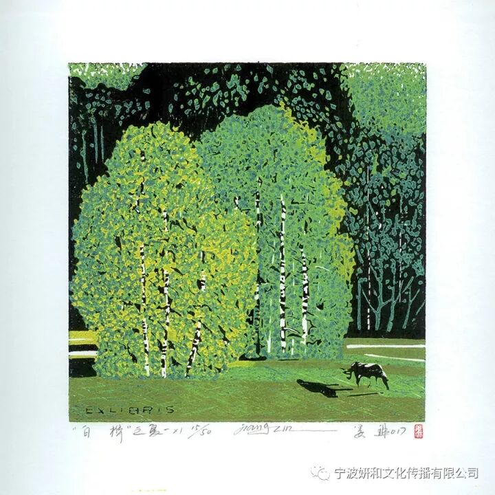 白桦林秋冬(图13)