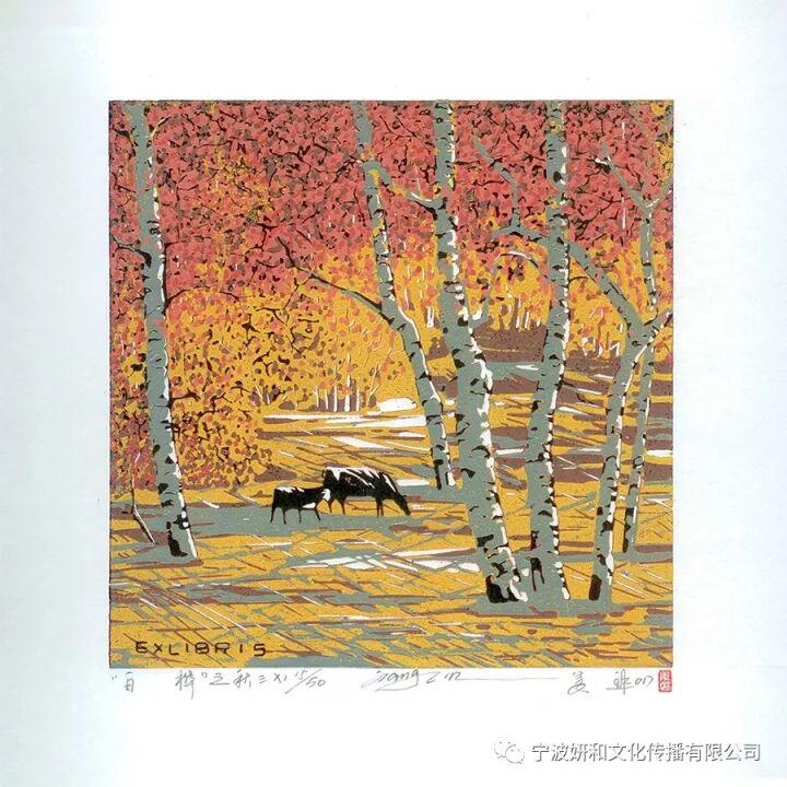 白桦林秋冬(图10)