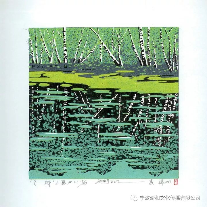 白桦林秋冬(图8)