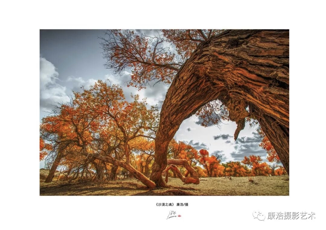 康浩摄影艺术光影的生命(图3)