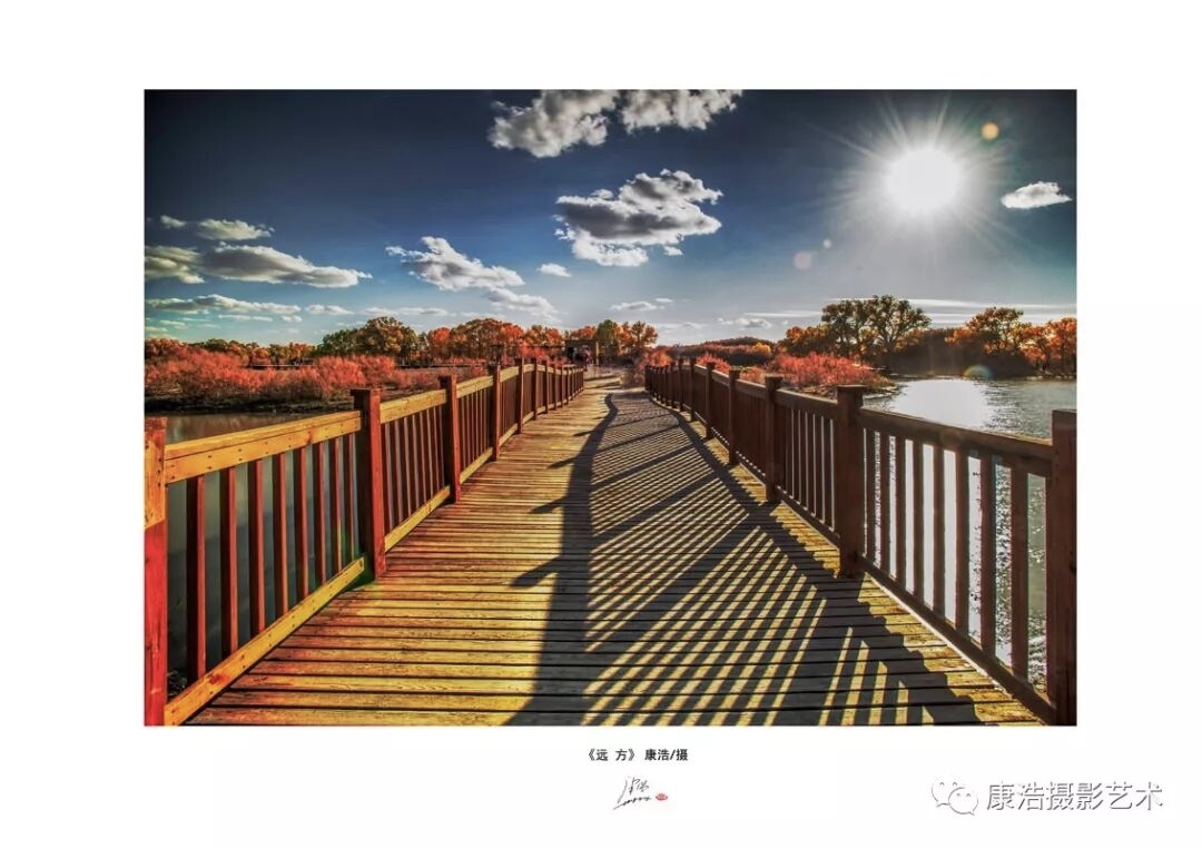 康浩摄影艺术光影的生命(图8)