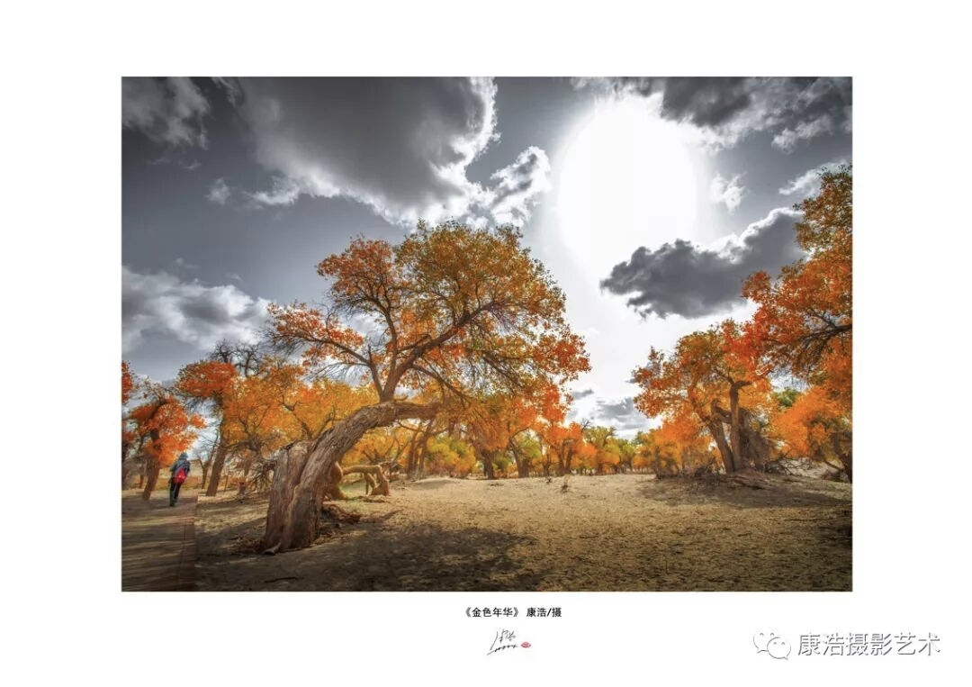 康浩摄影艺术光影的生命(图9)