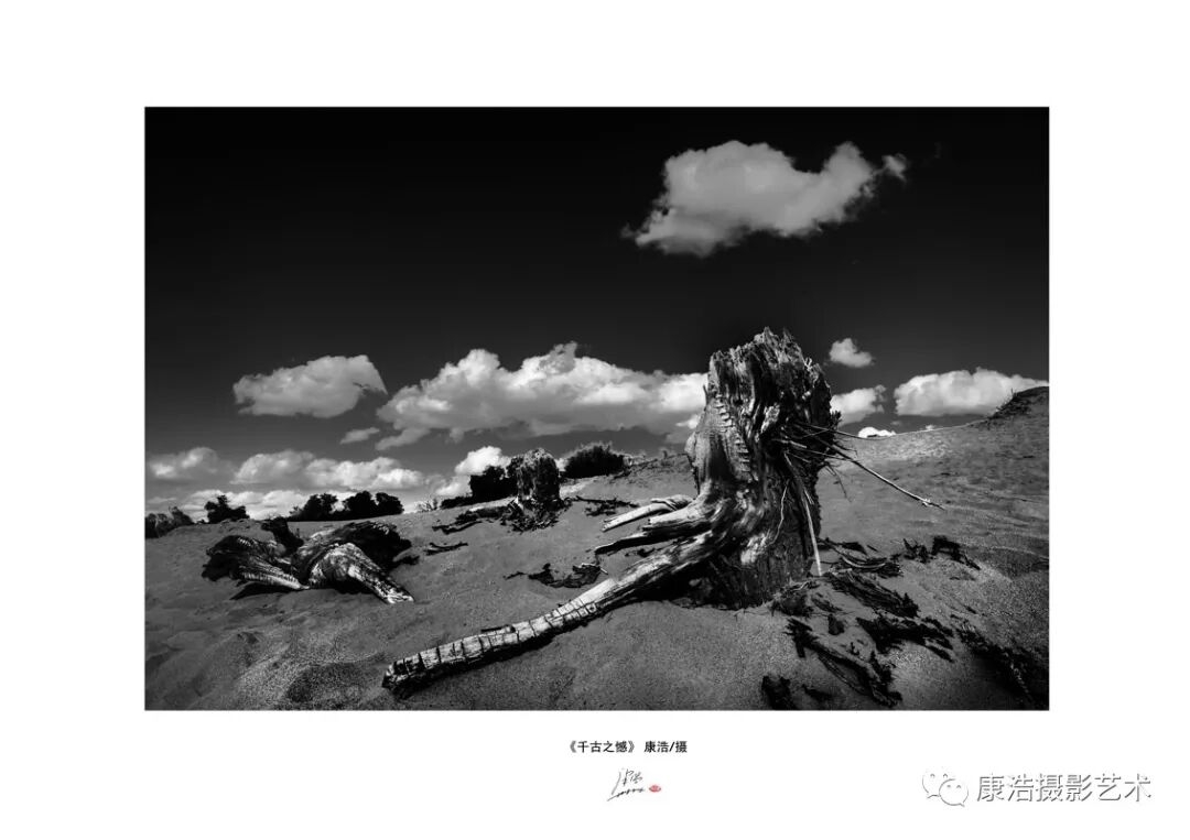 康浩摄影艺术光影的生命(图10)