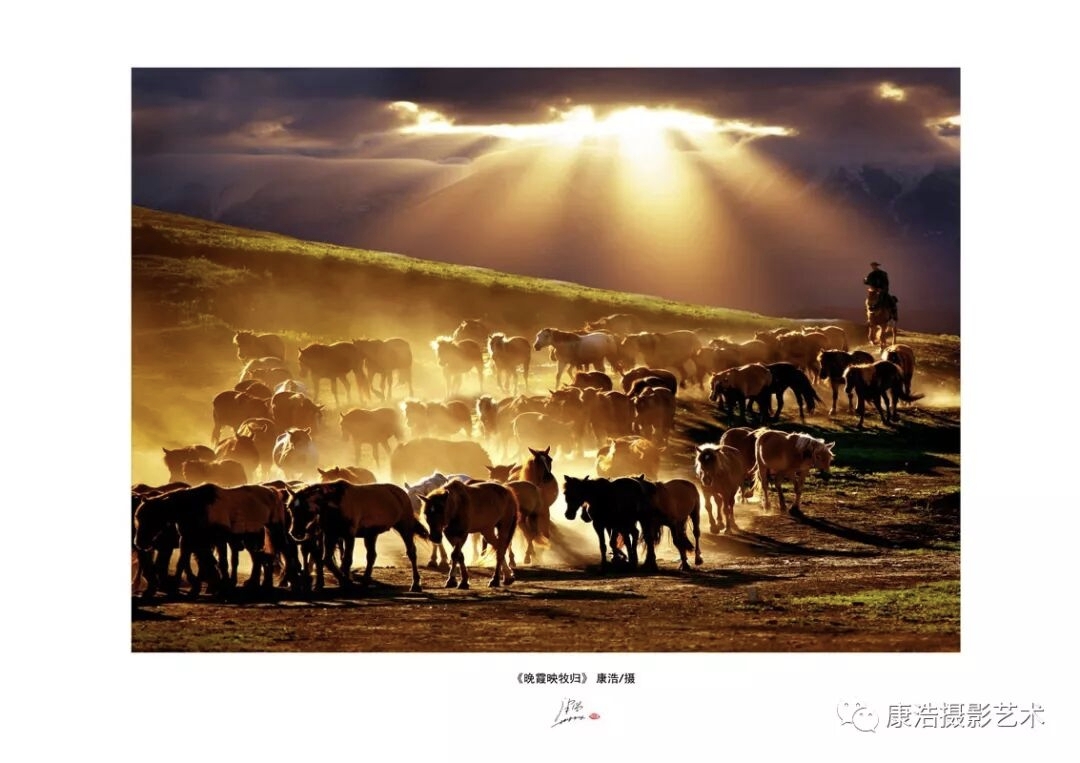 康浩摄影艺术光影的生命(图11)