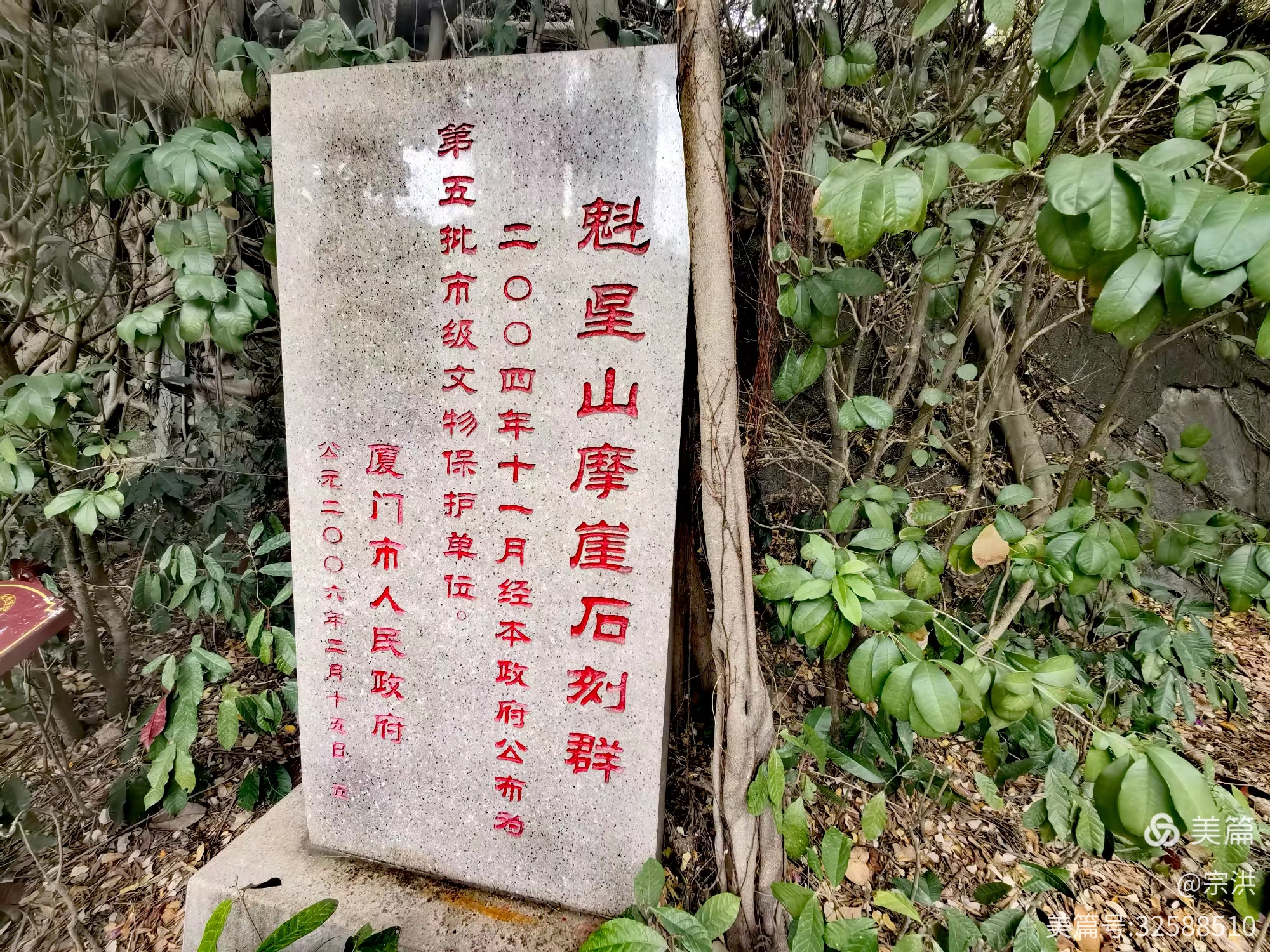 厦门中山公园寻美：斑斓枝头是乌桕，莫把彩叶当紫薇(图1)