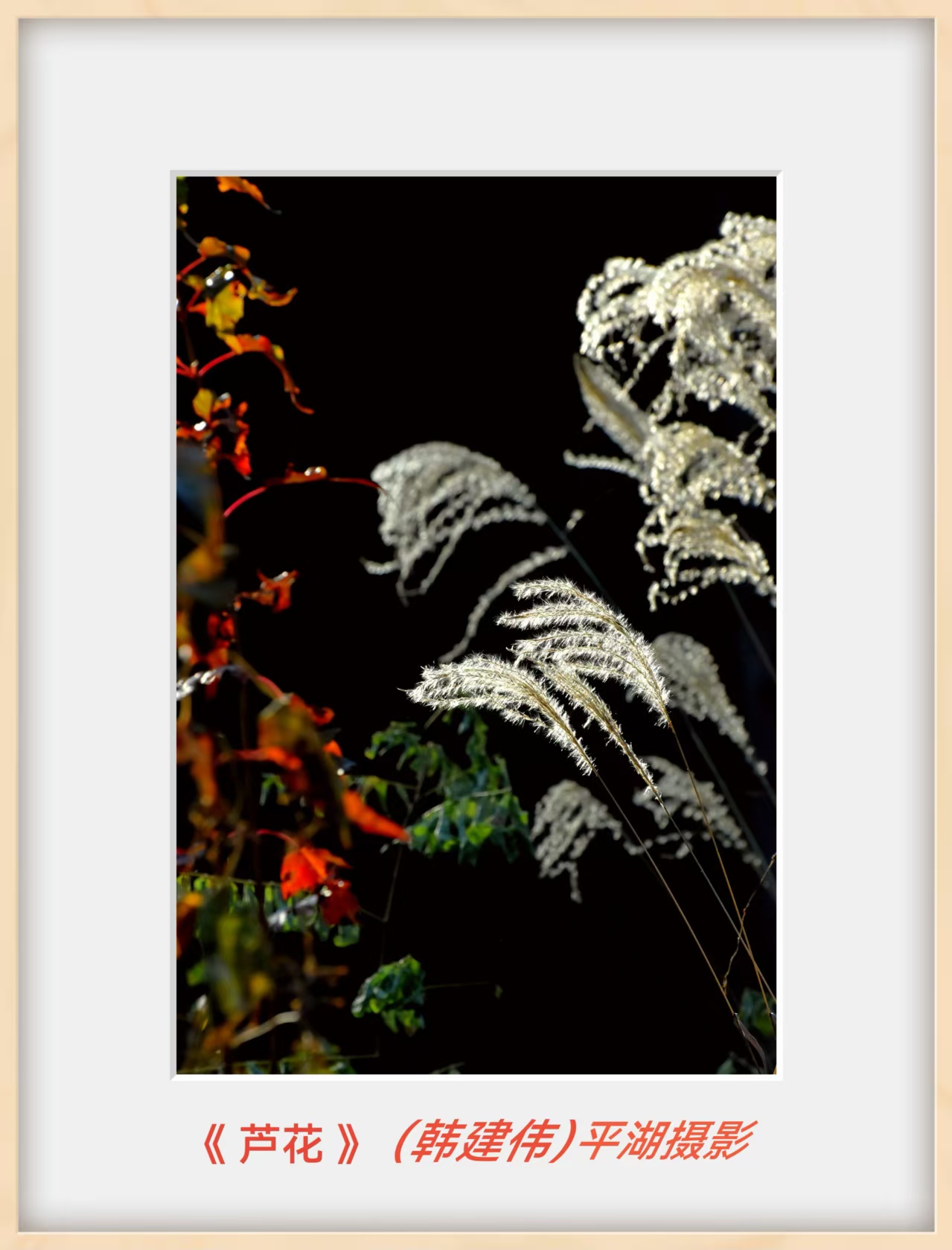 韩建伟摄影作品选(图9)