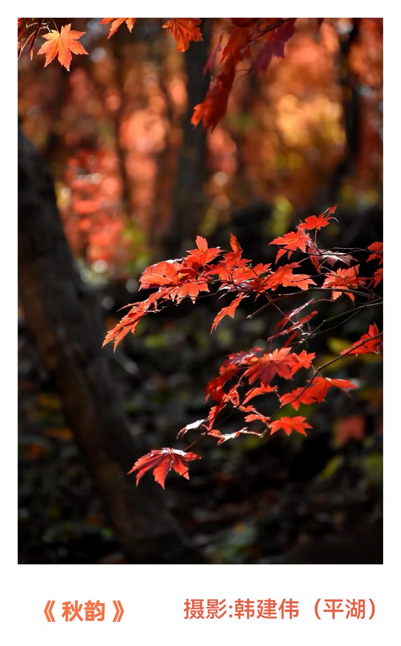 韩建伟摄影作品选(图7)