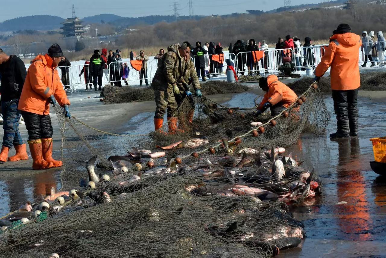 韩建伟摄影作品选(图15)