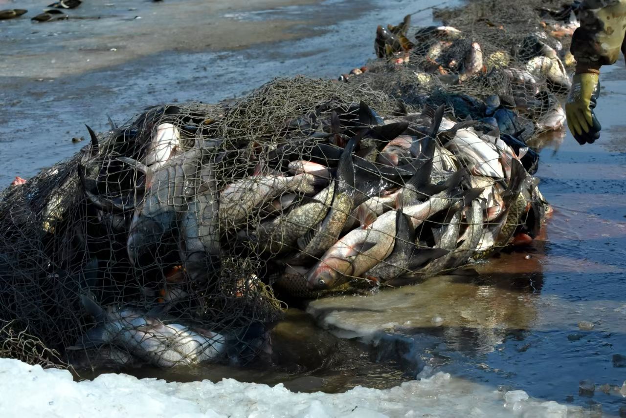 韩建伟摄影作品选(图22)