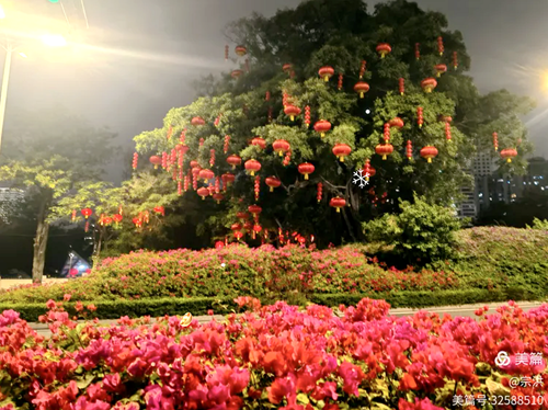 花海迎春  夜赏鹭岛 · 马年大吉(图1)