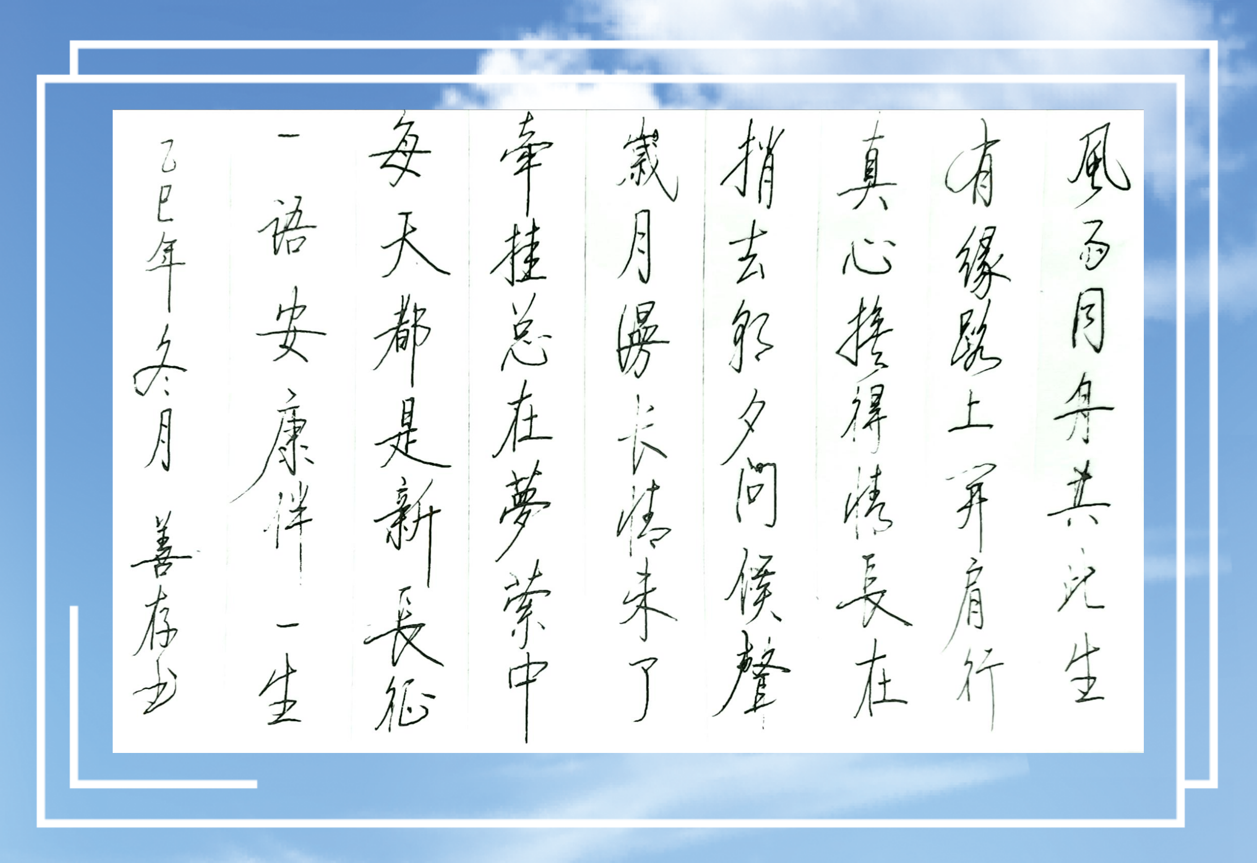 薛善存硬笔书法之7(图5)