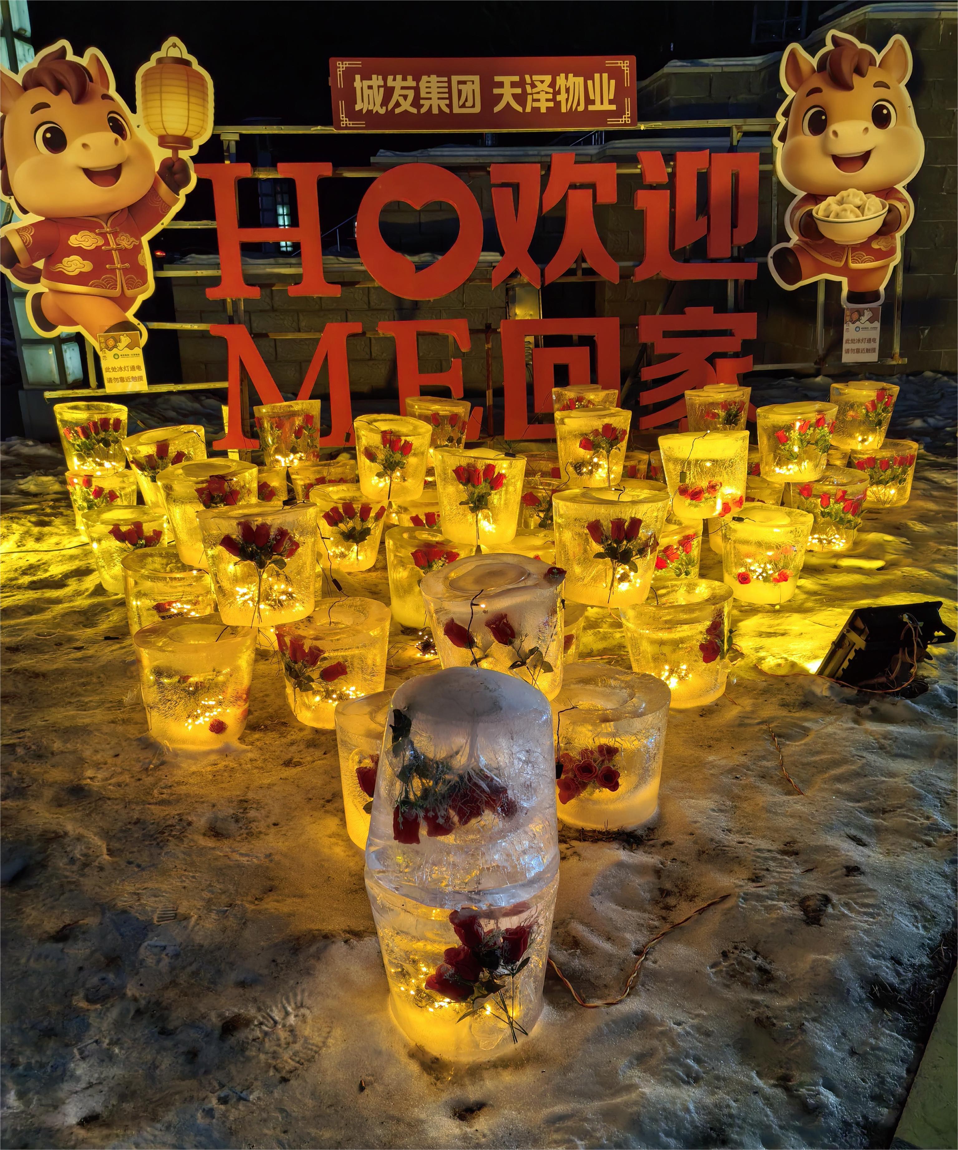 冻冰花(图1) 冻冰花(图1)