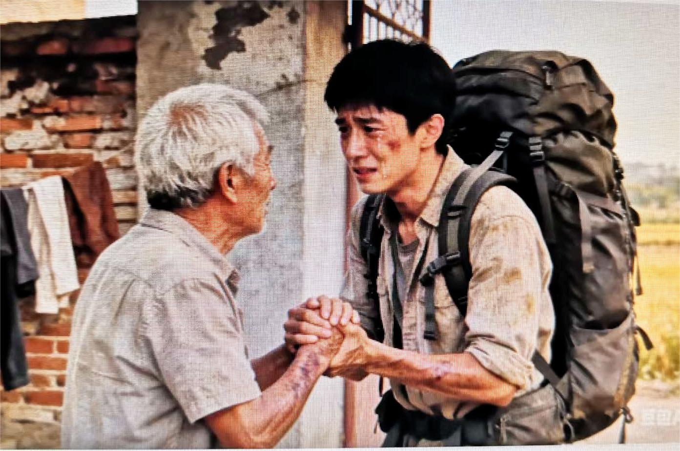 王苗这一路走来(图1) 王苗这一路走来(图1)