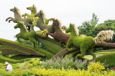 一声嘶破寒云尽 万里山河气象新(图1) 一声嘶破寒云尽 万里山河气象新(图1)