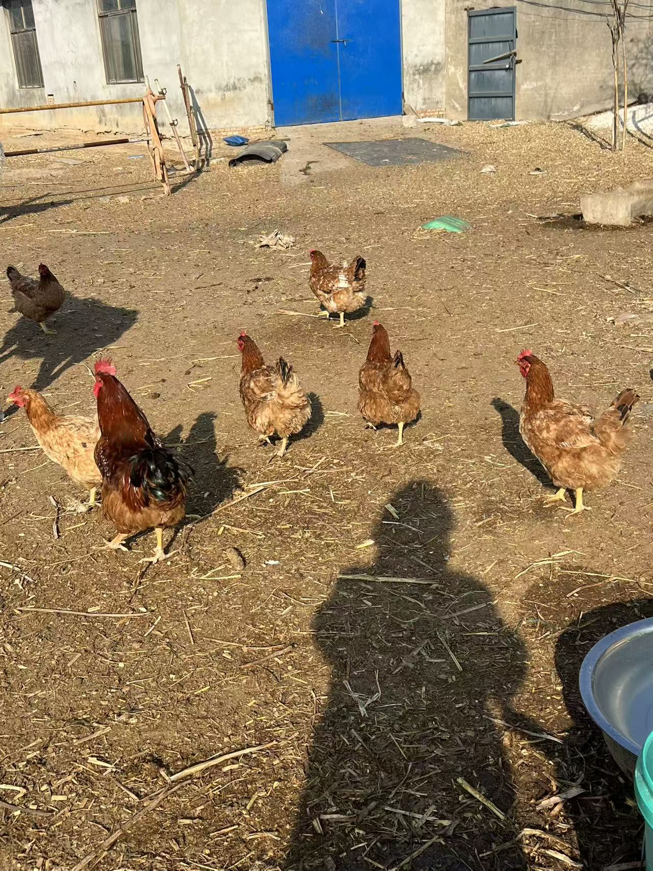 半世乡路连京渝，一肩星月守初心——记我与山东巨野东欢口村的四十七载情缘(图4)