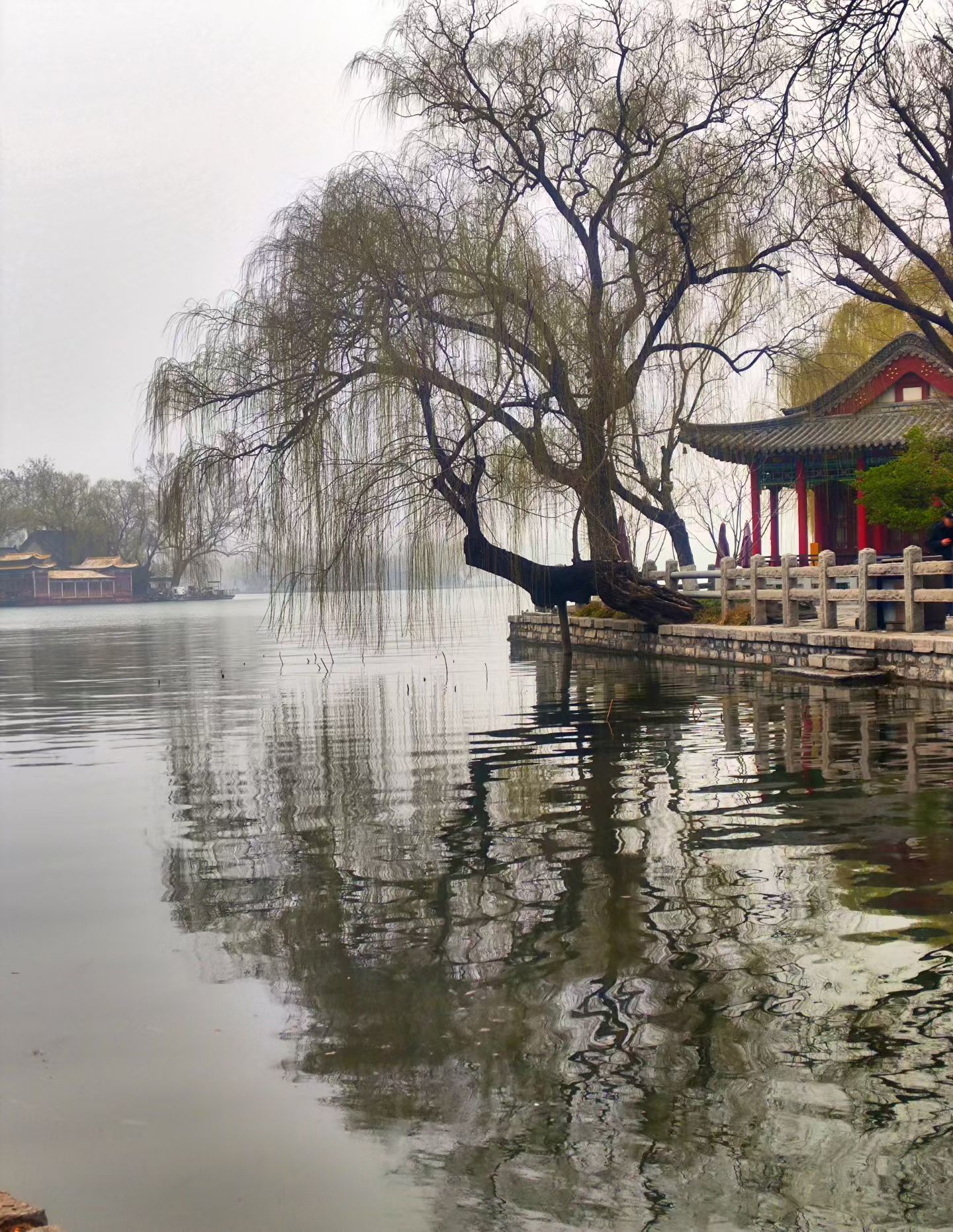 济南—大明湖(图5)