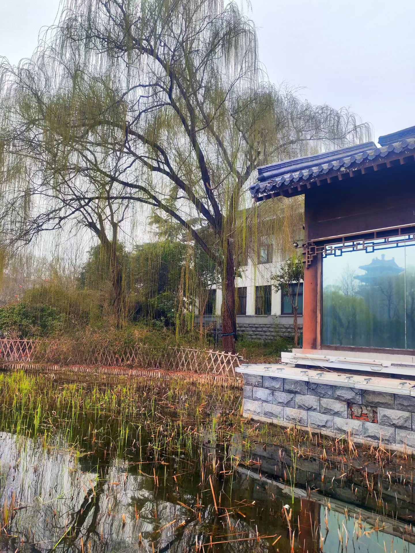 济南—大明湖(图4)