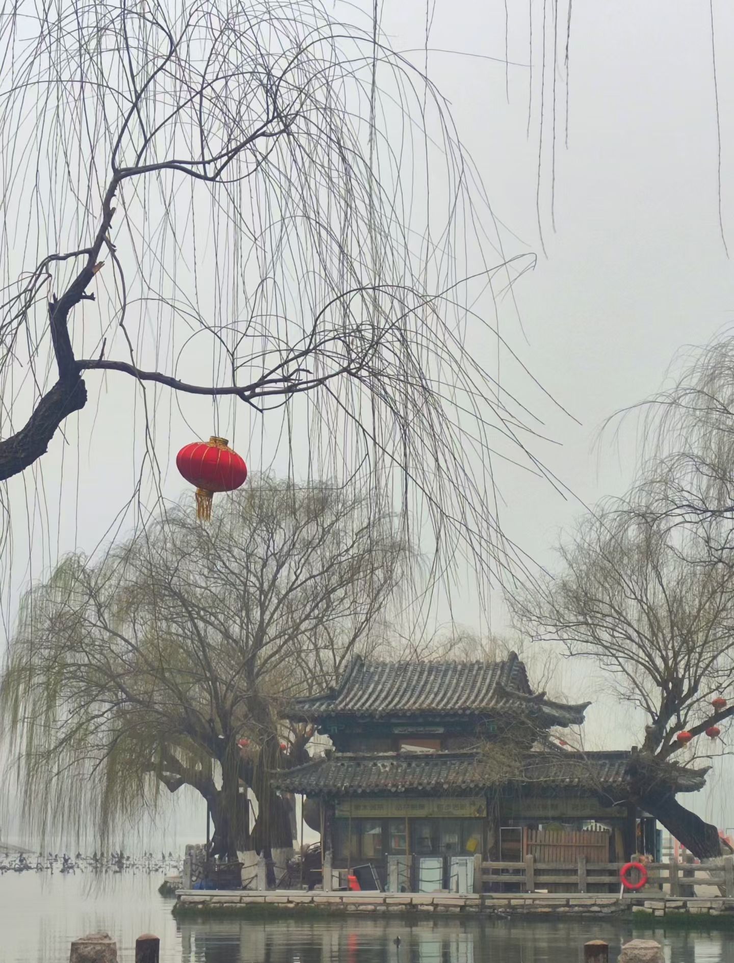 济南—大明湖(图7)