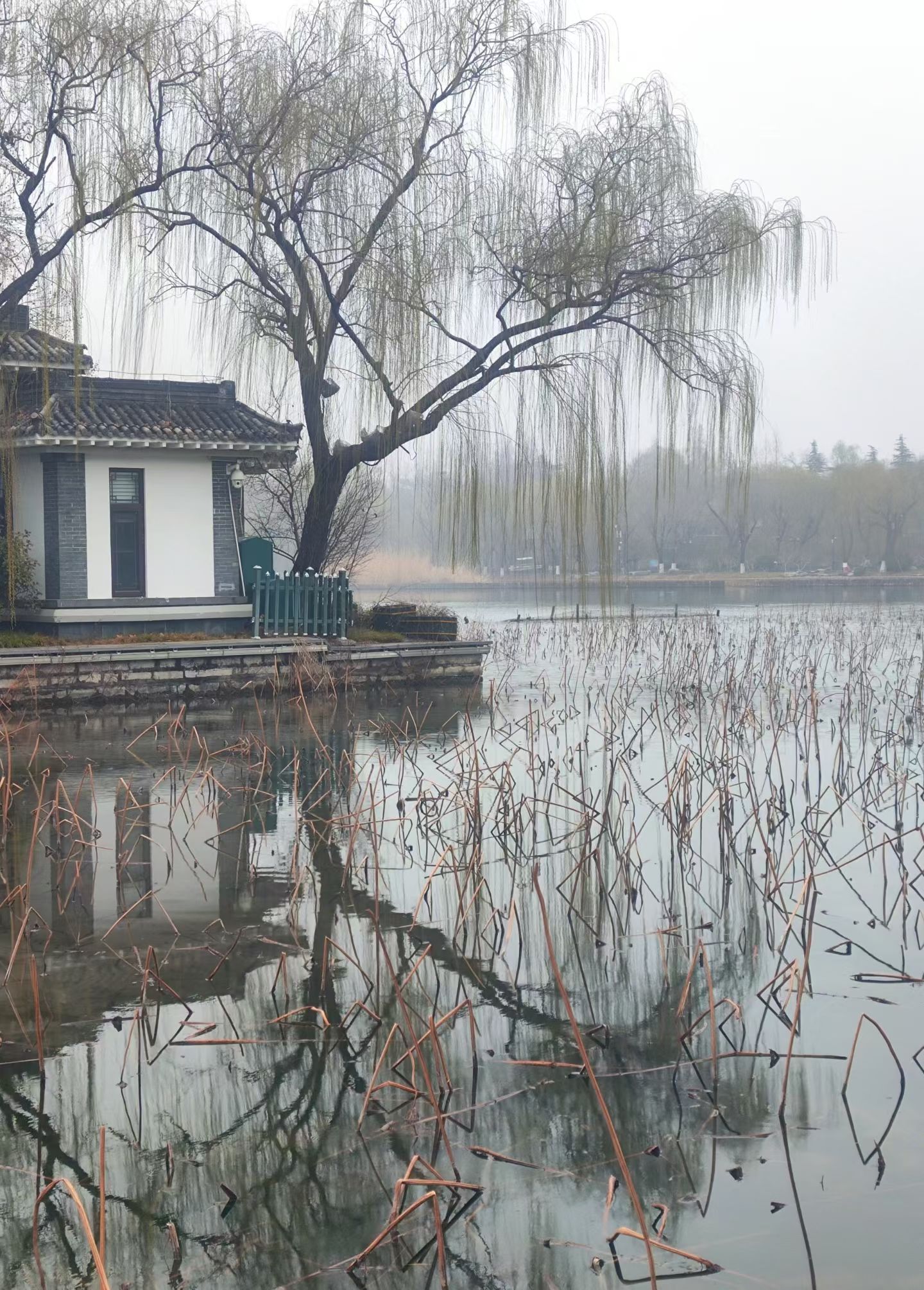 济南—大明湖(图3)