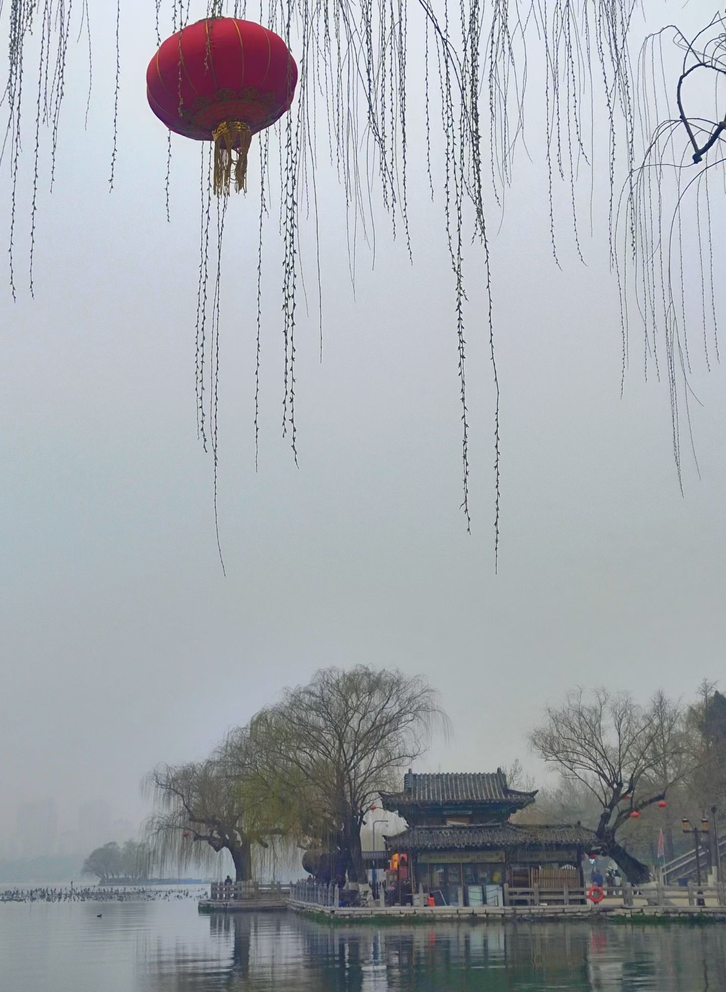 济南—大明湖(图8)