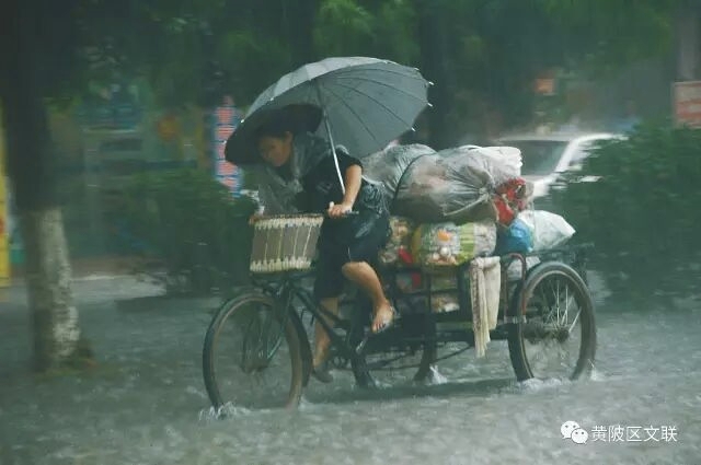 李作描摄影作品选登(图10)