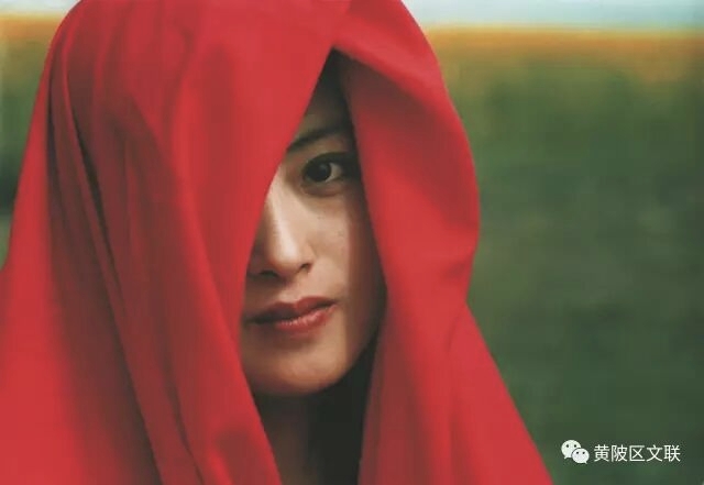 李作描摄影作品选登(图11)