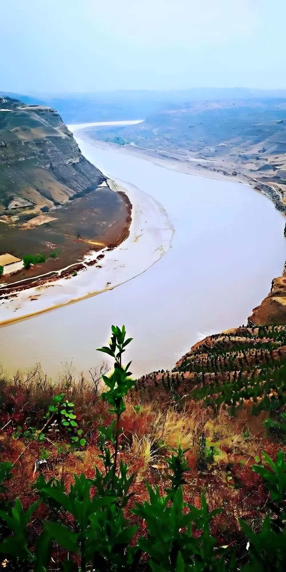 我思念故乡那条古黄河(图1)