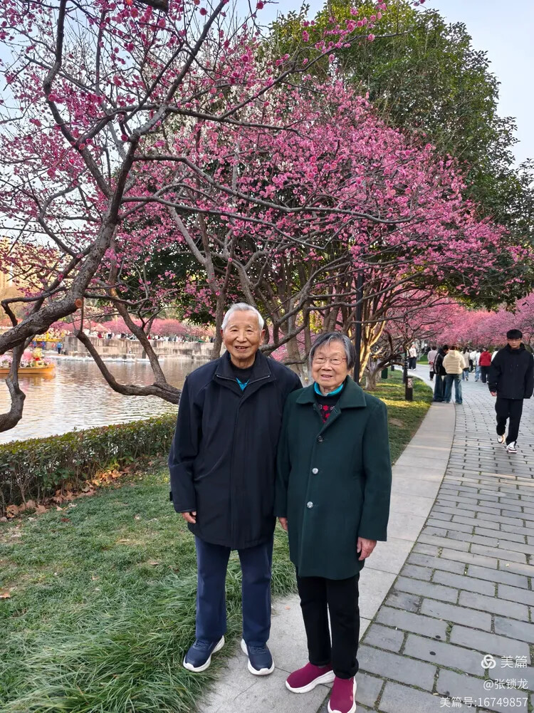 暖心的春节(图1)