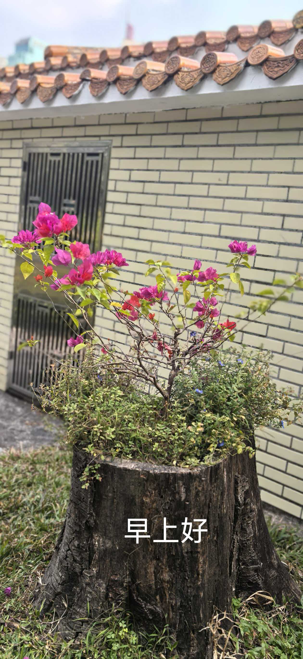 《生命的随想》(图1)