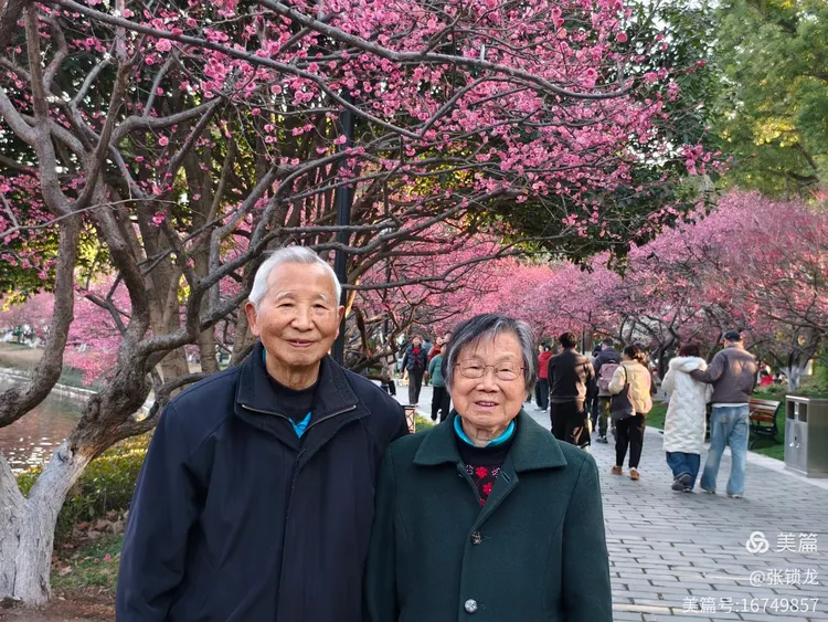 看草看花看人间盛世繁花(图2)